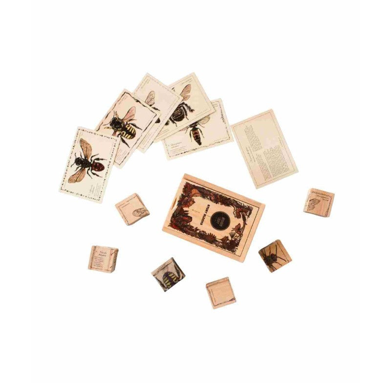 Wooden Blocks Bee Life - Species